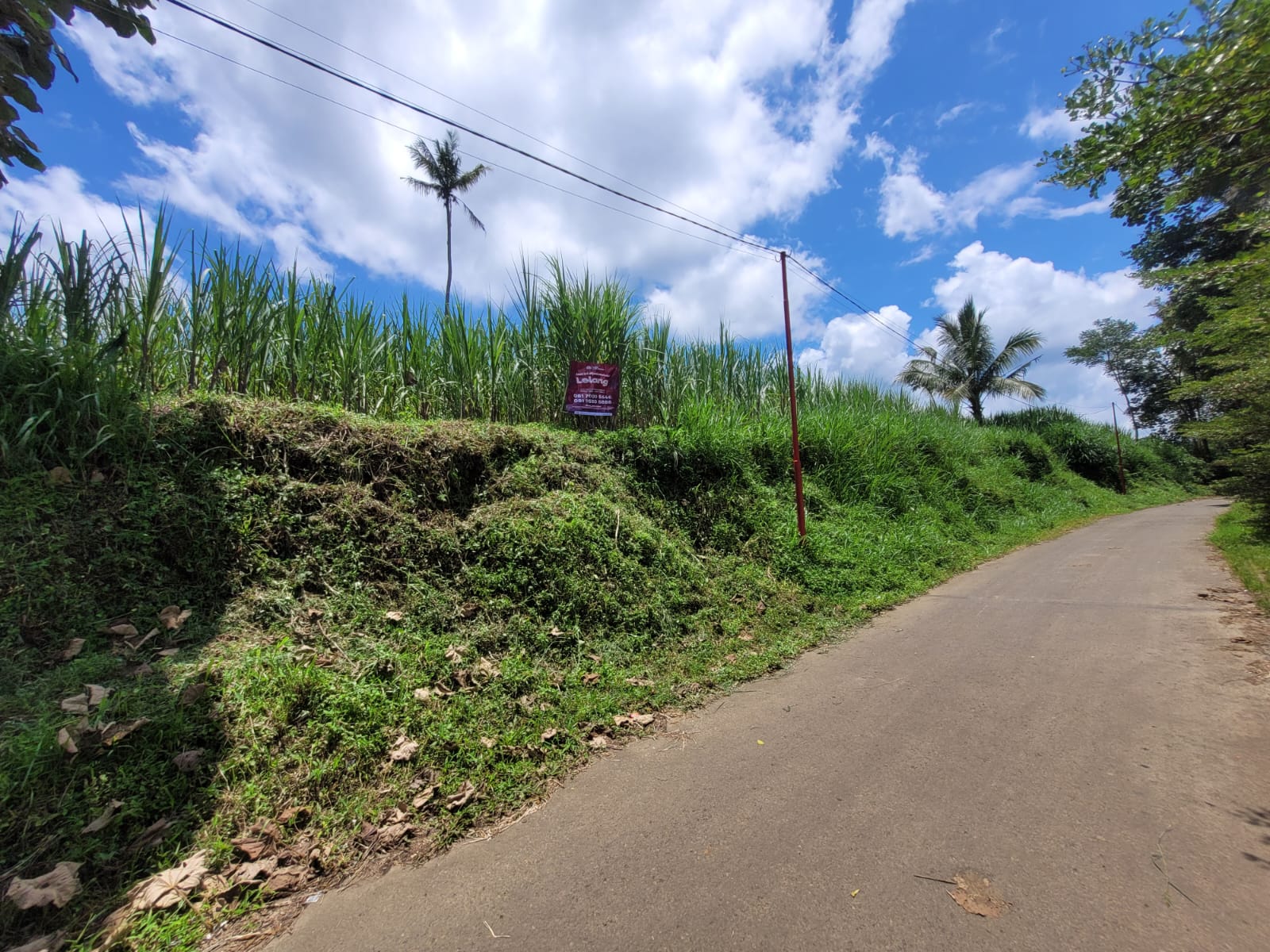 SEGERA LELANG TANAH - Thumbnail 2