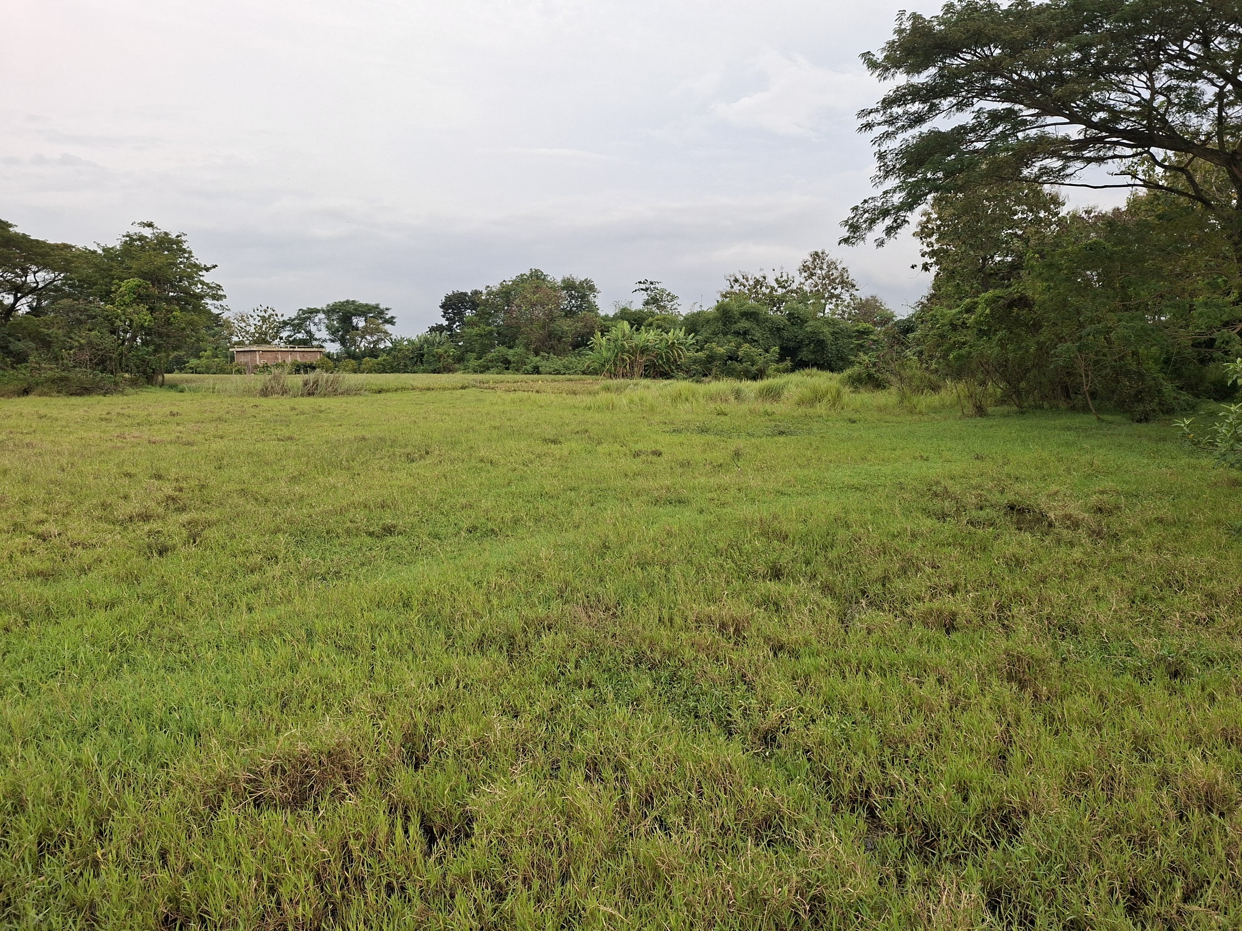 SEGERA LELANG TANAH KOSONG - Thumbnail 3